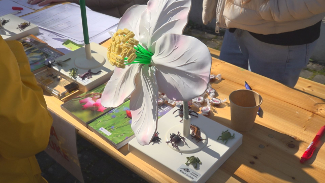 Senica oslávila Deň Zeme